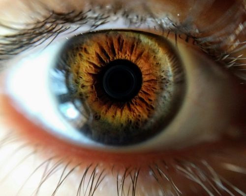 pexels-naeco-801867 oeil cornée chirurgie réfractive